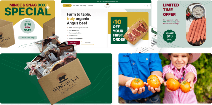 Images of Dandaraga's Website